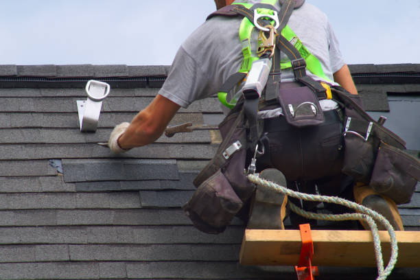 Best Flat Roof Repair Services  in Wheaton, MN