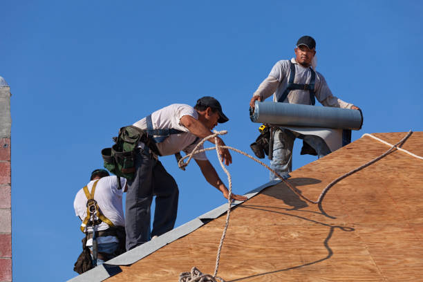Best Roof Leak Repair  in Wheaton, MN