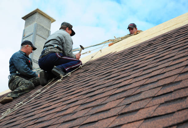 Best Best Roofing Contractors  in Wheaton, MN