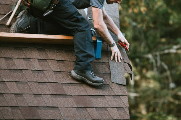 Best Commercial Roofing Services  in Wheaton, MN